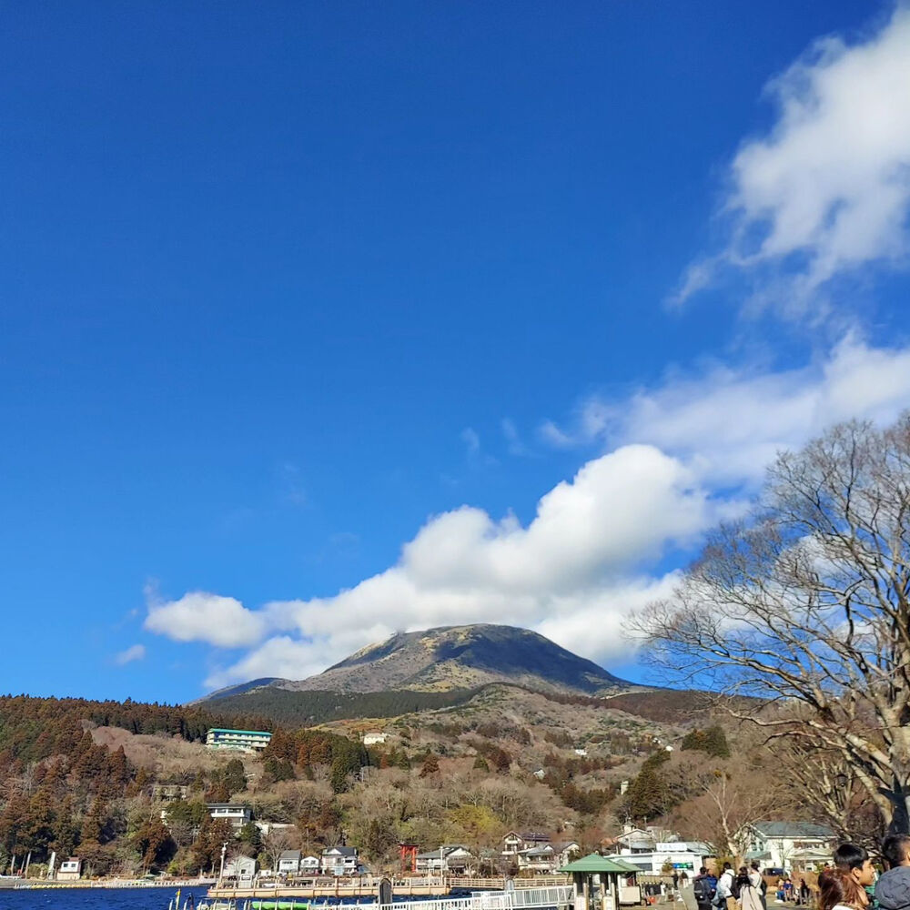 ブログ